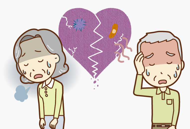 カラダ本来の機能を回復