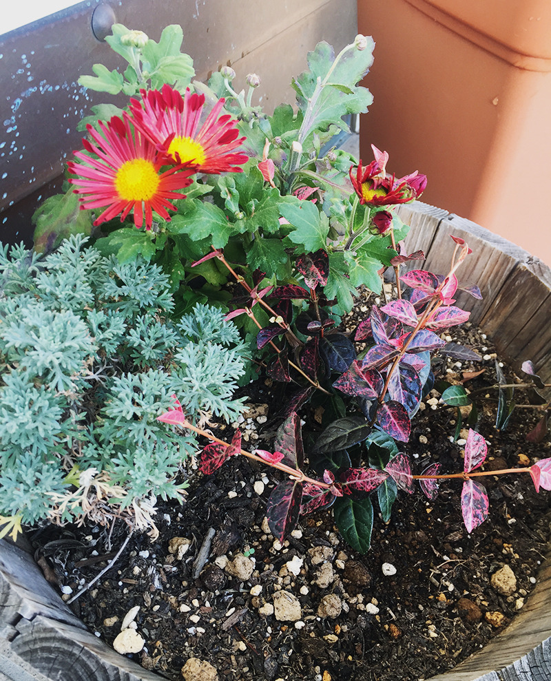 小学生の不定愁訴が良くなった！