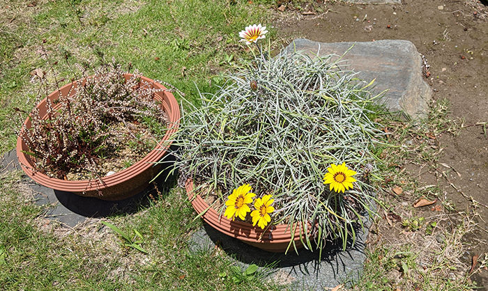 ゴールデンウイークの営業時間