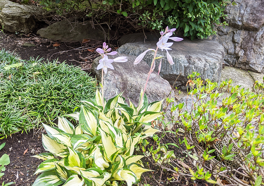 ロキソニンを飲んでも治らない頭痛、どうする？