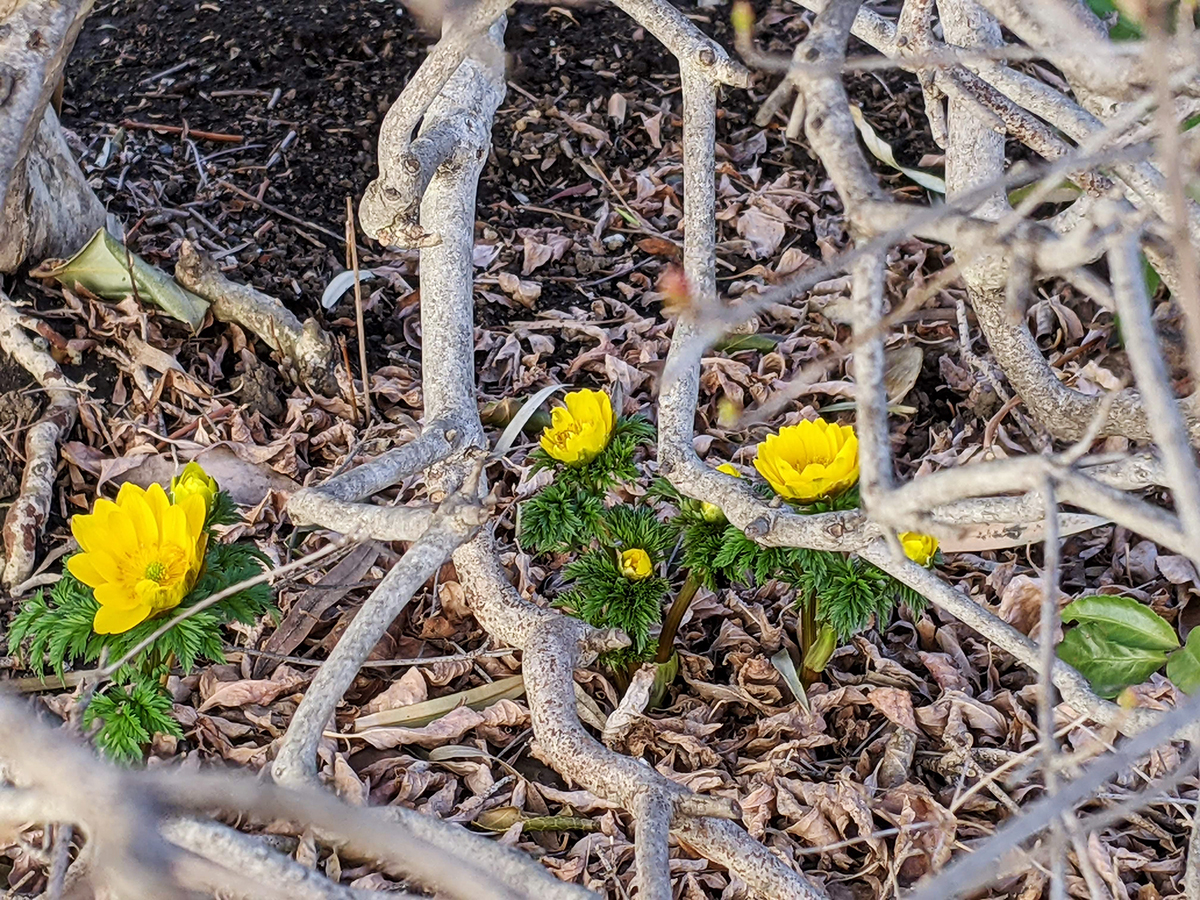 坐骨神経痛の方が良くなってきています