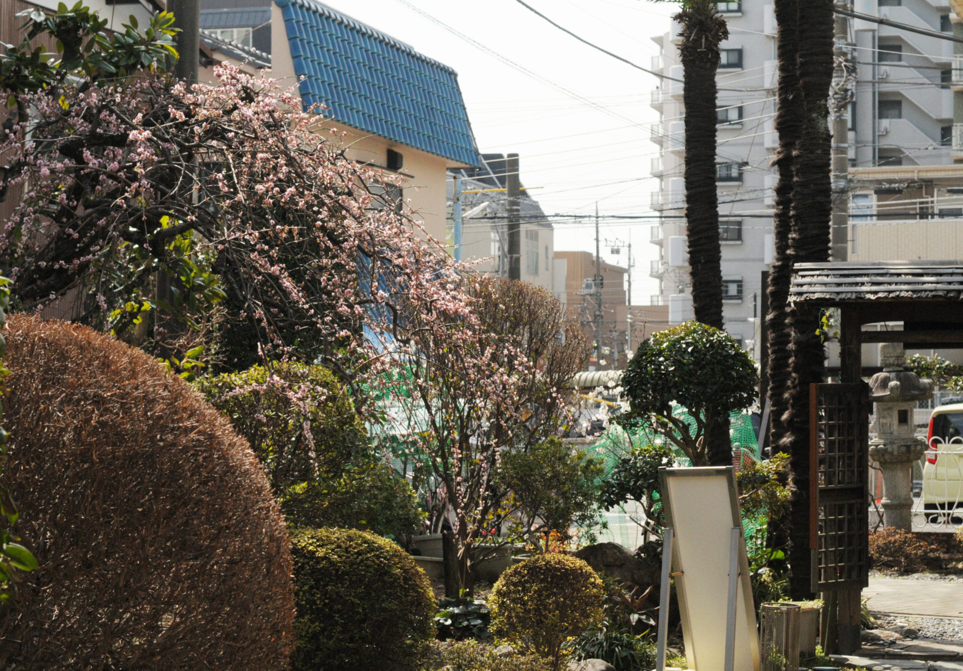 自律神経の不調の方々の最近の改善状況（睡眠障害、パニック、のぼせ）〜大和市整体院から