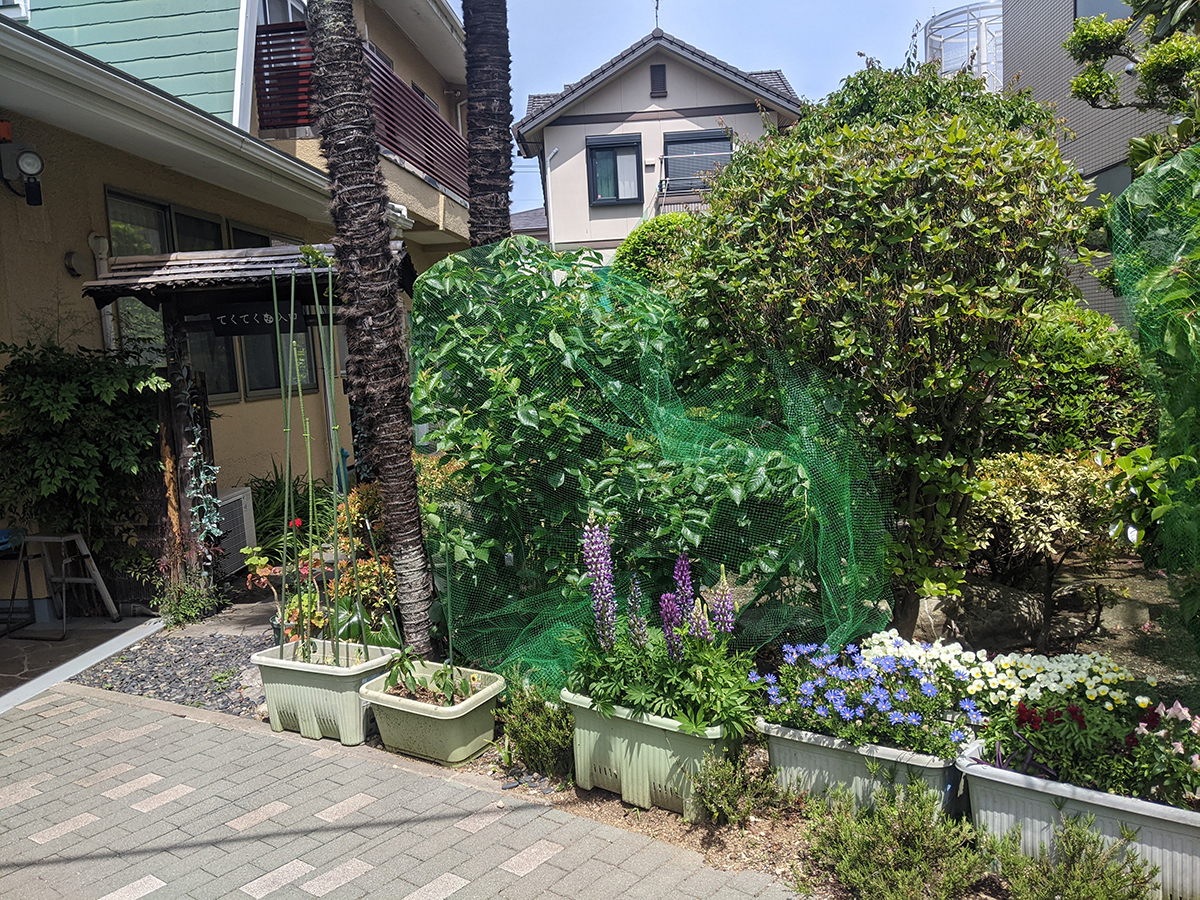 頭痛の攻略ポイントが少しずつ絞られてきました（大和市整体院コラム）