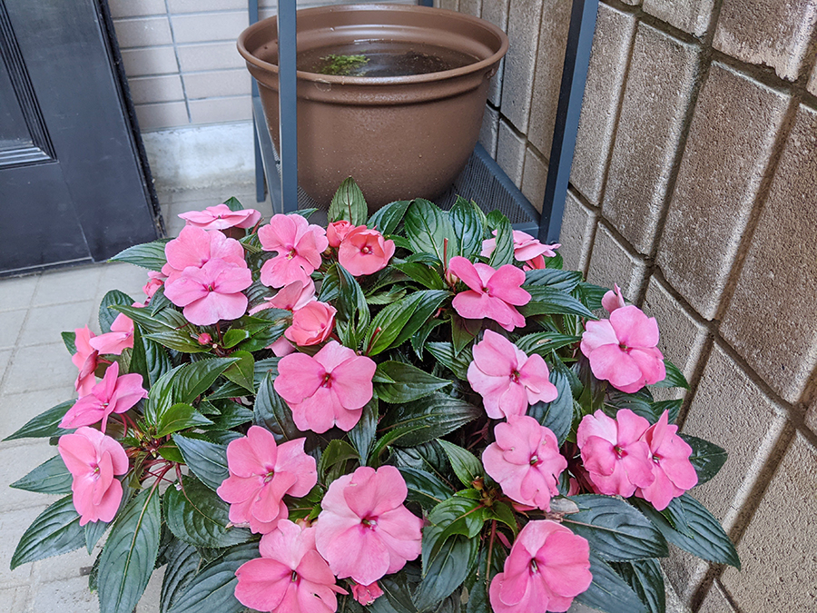 冷え性が良くなってきました（大和市整体院の自律神経系改善報告）